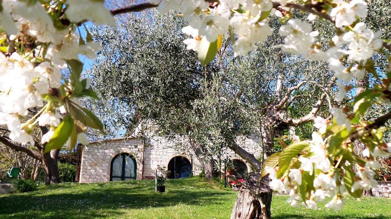 Campo Del Mare Panzió Sirolo Kültér fotó